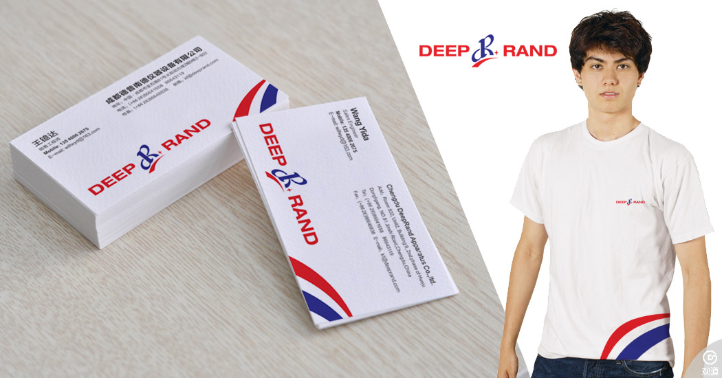 成都德普南德仪器设备有限公司备标志设计 VIS设计 